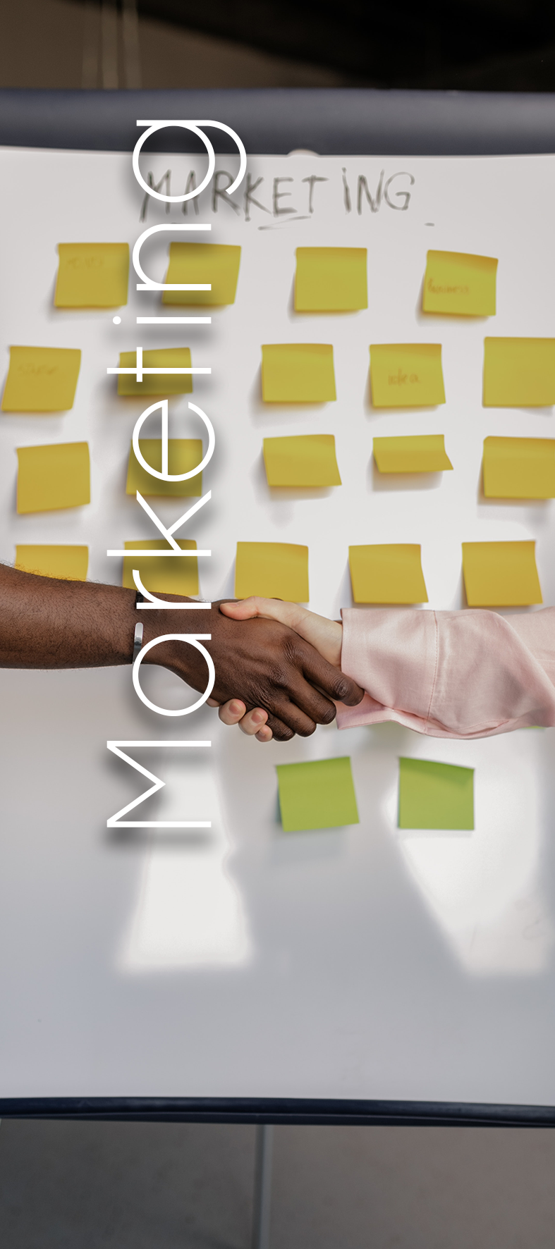 Sistema Educativo para el Emprendimiento: Liderazgo